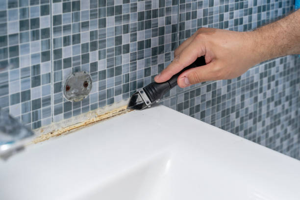 Best Toxic Mold Removal  in North Syracuse, NY